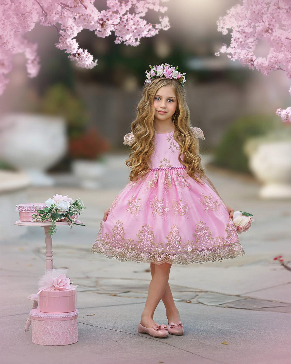 Pre-Order Princess Inspired Dress for Girls – Little Darlings Boutique