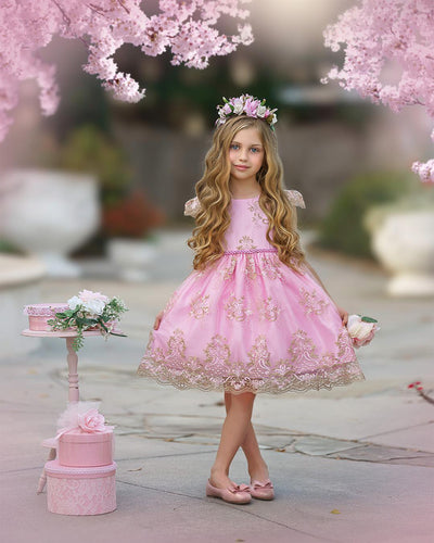 Pre-Order Princess Inspired Dress for Girls